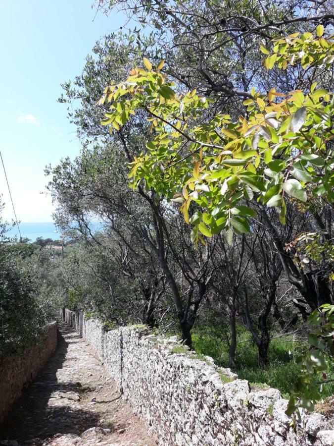 Appartamento Il Golfo Dei Poeti E 5 Terre A 2 Passi ลาสเปเซีย ภายนอก รูปภาพ